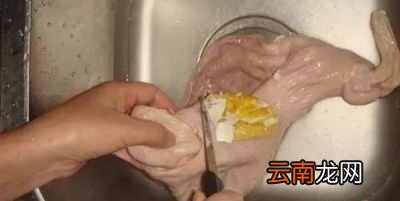 胡椒炖猪肚做法