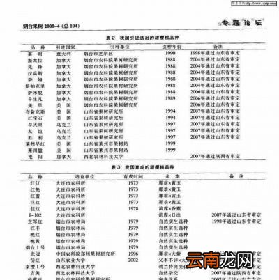01车厘子和樱桃哪个营养好
