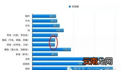 该如何选择吃肉才能不胖