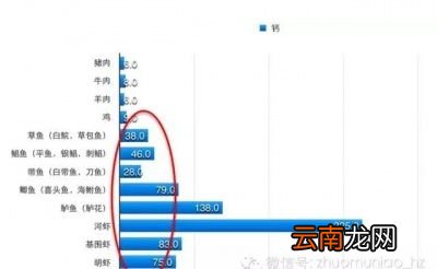该如何选择吃肉才能不胖