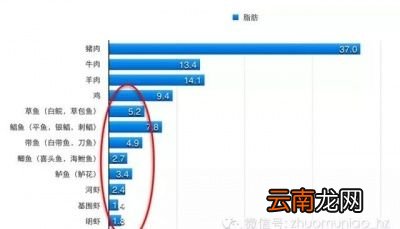 该如何选择吃肉才能不胖