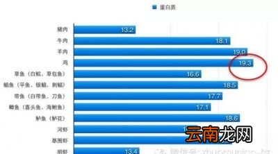 该如何选择吃肉才能不胖