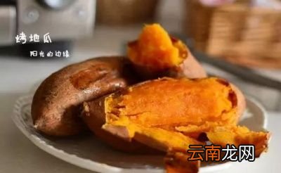 红薯的做法大全