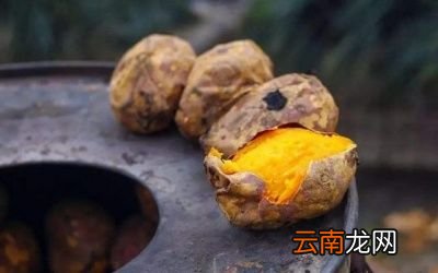 导读用微波炉怎样烤红薯