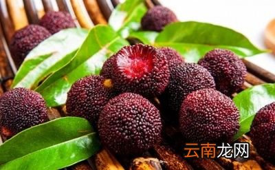 吃酸梅的好处有很多但我们也不能过多食用