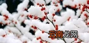 今年冬天是偏暖还是偏冷