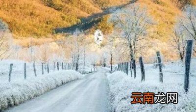 今年的冬季偏冷还是偏暖呢