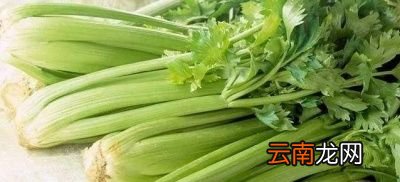 高血压患者日常可以吃那些降压食物呢