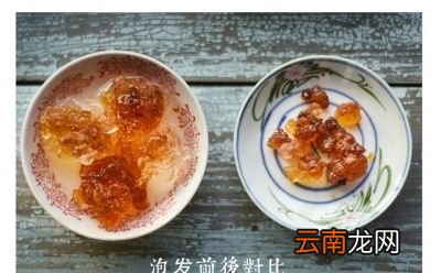 如何正确的泡发桃胶