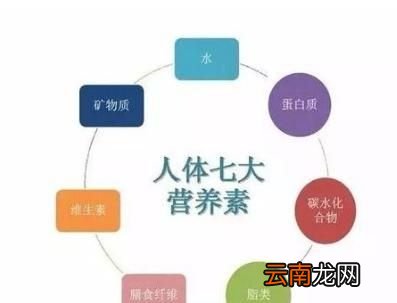 为什么一天苹果减肥法起不到减肥的效果