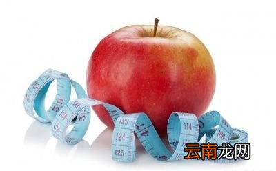 1天苹果减肥法有用吗