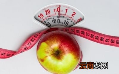 1天苹果减肥法有用吗