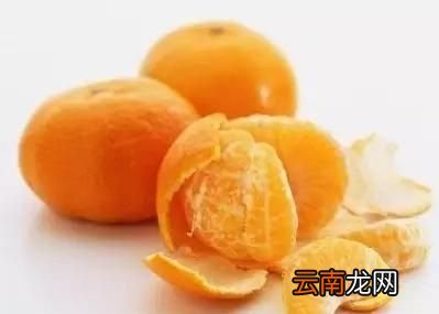 橘子皮的临床功效20则