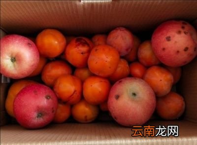 种脆柿子的脱涩和储存方法