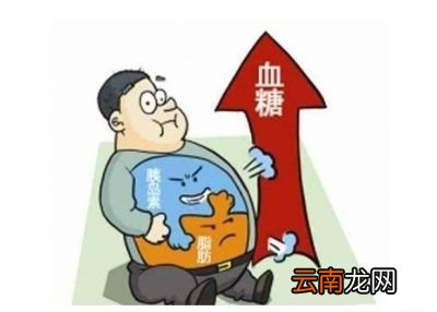 全麦面包和白面包的区别