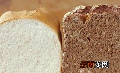 全麦面包和白面包的区别
