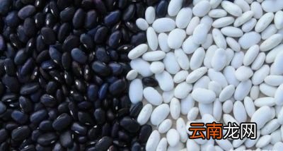 杂粮应该怎么吃呢