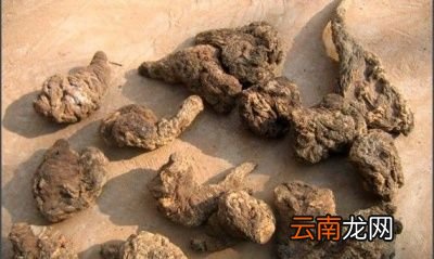 田地里被称作老头喝酒的植物有什么作用