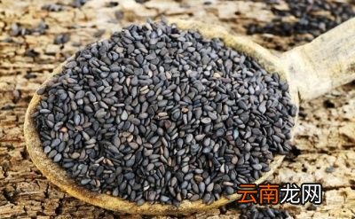 人体已经变白的头发能重新变黑吗