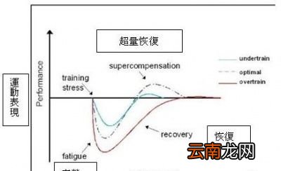 如何才能更好地提升酒量