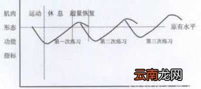 如何才能更好地提升酒量