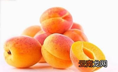 杏子的食用禁忌