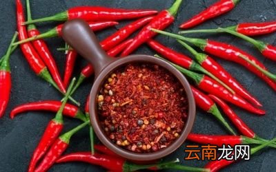 脾气虚弱者可以吃什么食物呢