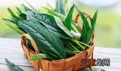 女性常吃芝麻叶坚持一个月有哪些效果