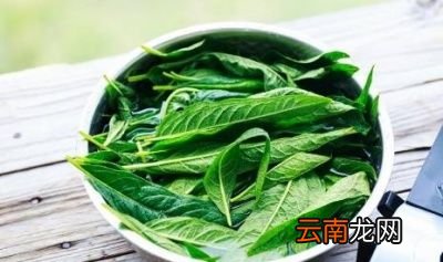女性常吃芝麻叶坚持一个月有哪些效果