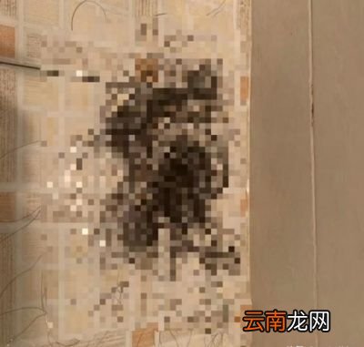 长期吃黑芝麻的好处