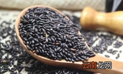 黑芝麻每天吃好吗