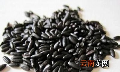 黑芝麻每天吃好吗