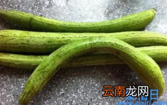 苦丝瓜中毒怎么处理 苦的丝瓜有毒吗能不能吃