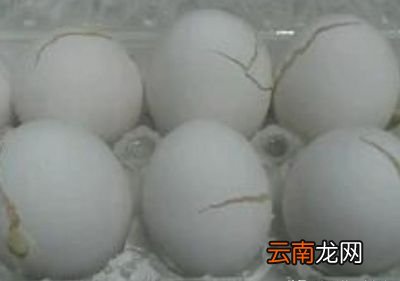 想要蛋黄酥蛋黄好吃~挑选鸭蛋也是关键