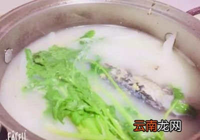 ==》鲫鱼汤不腥汤白浓郁好喝小窍门