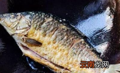 鲫鱼汤怎么才不腥