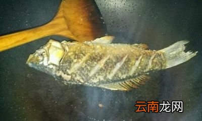 鲫鱼汤怎么做才不会腥呢
