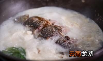如何做出美味不腥的鲫鱼汤
