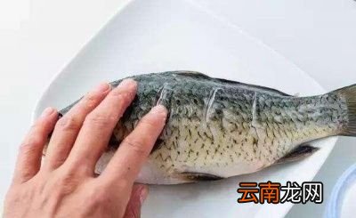豆腐鱼头汤的做法