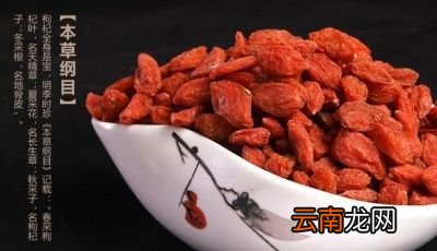 哪些人不能吃枸杞子