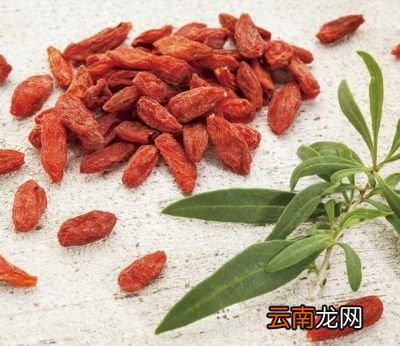 下面来说说哪些人最好不要食用枸杞