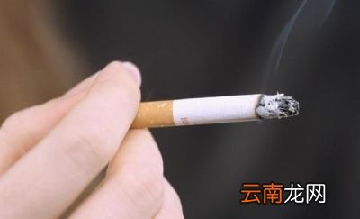我抽烟多喝哪种茶最好