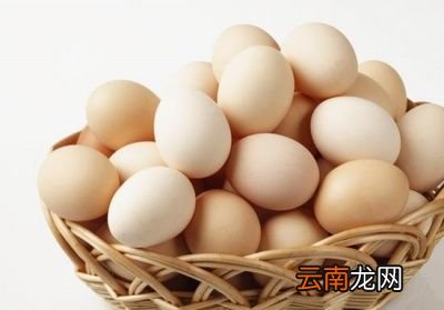 大养殖场的为什么没有