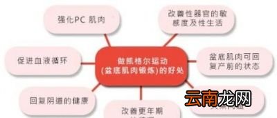 提肛运动对人体健康有哪些益处