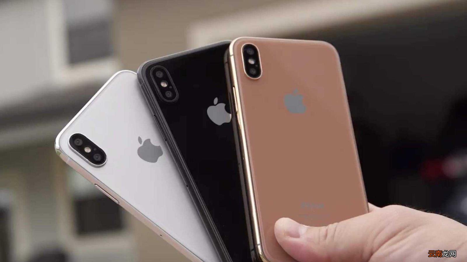 ios开发者模式怎么打开 ios15设置里的开发者