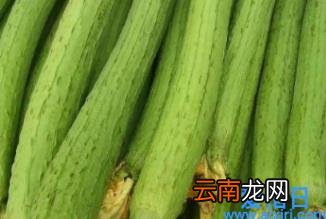 为什么丝瓜会黑掉 丝瓜冷藏发黑还能吃吗