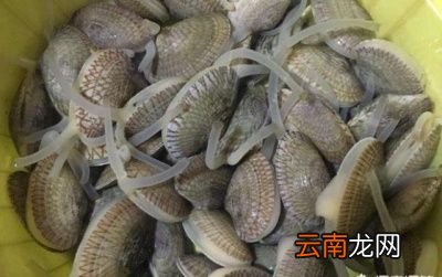 一炒花甲需要加水吗