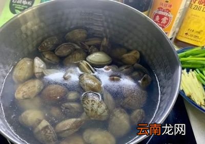——姜葱炒花甲的烹饪方法——
