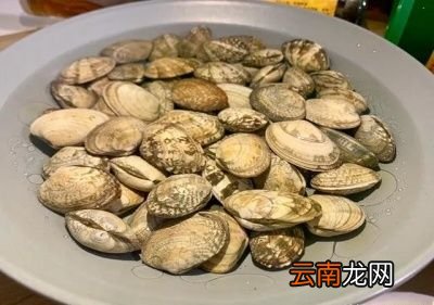 ——姜葱炒花甲的烹饪方法——