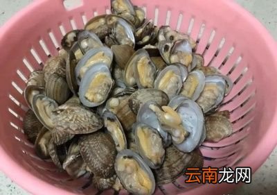 ——姜葱炒花甲的烹饪方法——